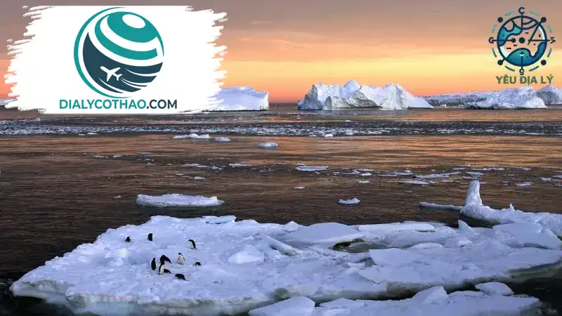 Khám phá Địa Lý Và Đặc Điểm Tự Nhiên Của Lục Địa Nam Cực