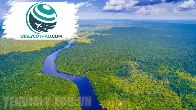 Hệ thống sông ngòi châu Á đóng vai trò gì đối với nền kinh tế Thế Giới? Hệ thống sông ngòi châu Á đóng vai trò gì đối với nền kinh tế Thế Giới?