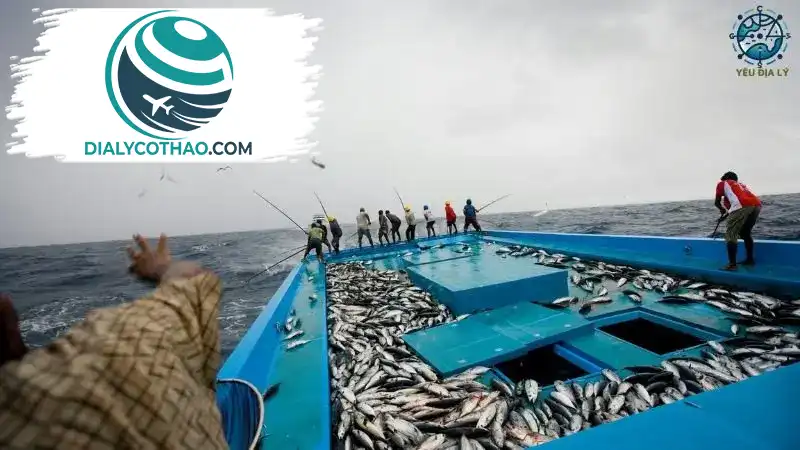 Tổng quan về nền kinh tế của Tuvalu Tổng quan về nền kinh tế của Tuvalu